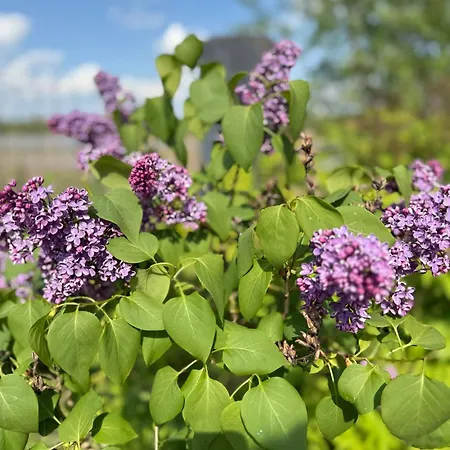 Parlinskie Wody I Apartment